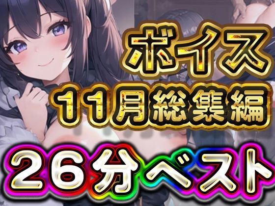 26分 2024年11月 ボイス総集編